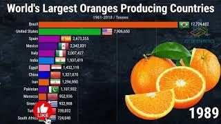 [The Top 10] Orange-Producing Countries