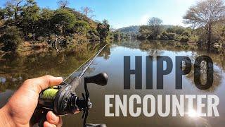 Close Hippo Encounters and New Rod Shattered!