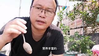 土壤改良最简单方法！新手0难度，疏松如面包