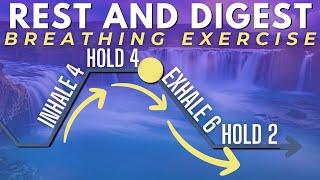 Rest and Digest Breathing Exercise (4-4-6-2)