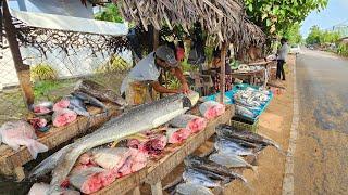 Amazing! Attractive Best Best Big Fish Market In Sri Lankan Village