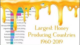 Largest Honey Producing Countries in the World 1960-2019