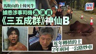 馬鞍山的士撞死牛｜涉事司機為演員「神仙B」 曾與張國榮 周星馳做對手戲｜星島頭條新聞｜神仙B｜蔡堅成｜三五成群｜家慈｜馬鞍山｜西沙路