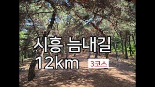 [DS116] 시흥 늠내길 3코스_12km​  "주민 탐방객이 너무 많아 러닝이 어렵습니다."