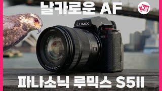 날카로운 AF. 파나소닉 루믹스 S5II 써봤습니다