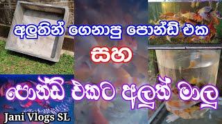 My New Pond | අලුතින් ගෙනාපු පොන්ඩ් එක සහ අලුත් මාලු | Aluthin Genapu Pond Eka | Jani Vlogs SL