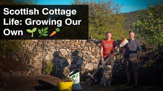 Self-Sufficiency & Vegetable Patch Progress at Our Scottish Cottage | Ep 40 Our Move to the Country