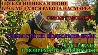 ГРУБАЯ ОШИБКА В ИЮНЕ И ВСЯ РАБОТА ПО СЕЗОНУ КОТУ ПОД ХВОСТ не допусти БРАК МЁДА как ДАВАТЬ СИРОП️