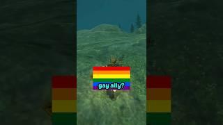 What's an "ally"?