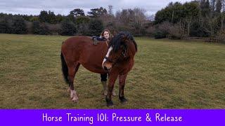 Horse Training 101 | Pressure & Release