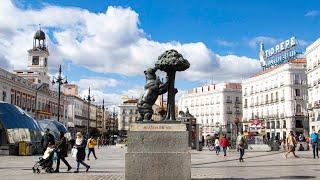 ¿Por qué hay un oso y un madroño en el escudo de Madrid? #mundotv