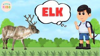 Elk Facts For Kids  Learn All About Elks | MON Kids