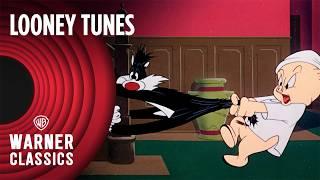 Looney Tunes | Scaredy Cat (1948 Full Episode) | Warner Classics