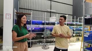 巴生水族馆宠物店竟然被列为马来西亚记录大全最大的水族馆宠物店，今天带大家一起去看看