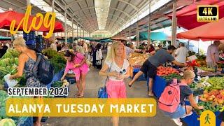 The WildeThe Wildest Market in Turkey | Alanya Tuesday Market | Bazaar Walking Tour | September 2024