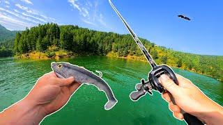 GIANT Swimbaits vs GIANT Smallmouth! (PB CAUGHT!!)