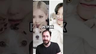 Petpink - Kennst du die Haustiere der Blackpink Member? 🩷