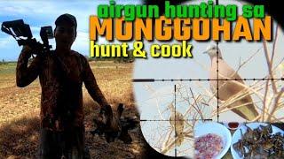 PEST CONTROL SA MONGOHAN