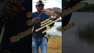 Big Size Snakehead Fish Catch 5Kg#shorts