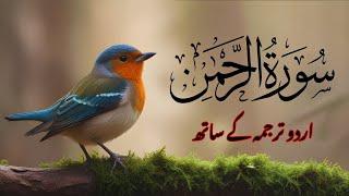 Surah Ar-Rahman  Tarjuma ke Sath   ||  Muhammadi Media Live Stream