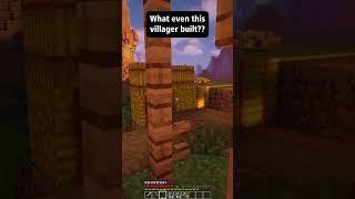 Villagers doing most Racist Illegal things in Minecraft #shorts