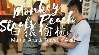 Explore Real Kung Fu in China with Monkey Steals Peach