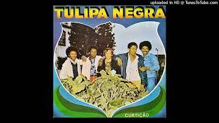 Tulipa Negra - Curtição