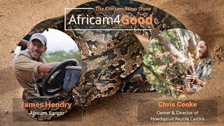 Reptile Conservation | Africam4Good