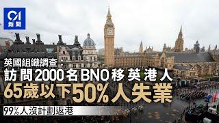 BNO移民｜英國調查：5成65歲以下受訪移英港人失業　99%無意回港｜01新聞｜英國｜失業｜移英港人｜回港