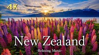 ニュージーランド【４K】ピアノのリラックス音楽と美しい景色｜大自然の絶景｜New zealand