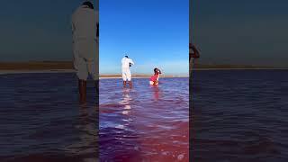 Is this the world’s most beautiful lake? Pink lakes in Namibia