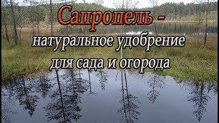 Сапропель - натуральное удобрение для сада и огорода