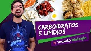  Bioquímica (3/5): Carboidratos e Lipídios - Biologia - ENEM