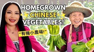 MY HAKKA GRANDMA'S HOMEGROWN CHINESE VEGETABLES!‍ Growing a Vegetable Garden at Home | Kirsty Lo