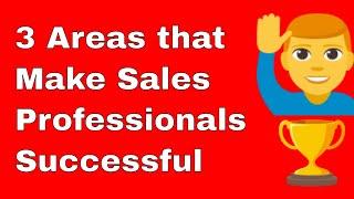 3 Areas that Make Sales Professionals Successful