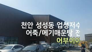 천안 성성동 업성저수지 어죽/메기매운탕, 어부이야기