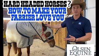 HARD HEADED HORSE? Make your farrier love you!!