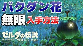 バクダン花をボコブリンから無限に入手(回収)する方法【ゼルダの伝説ティアーズオブザキングダム攻略】