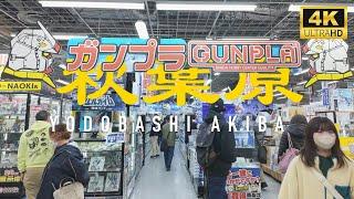 秋葉原 A Walk Through Yodobashi Akiba: Every Floor of Akihabara's Massive Electronics [4K 60fps ASMR]