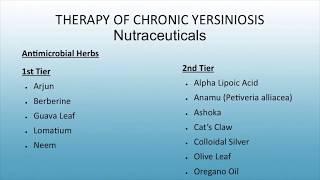 What is Chronic Yersiniosis? From Diagnosis to Effective Treatment