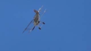 good Hawker Fury K5674 biplane Duxford Airshow display  11Sept2016 meet the Fighters 239p