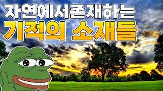 자연에 존재하는 기적의 소재들