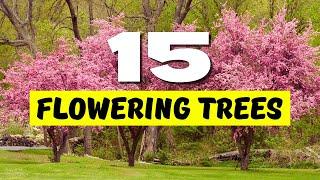 TOP 15 BEST Flowering Trees for a STUNNING Garden  Make Your Yard SHINE! 