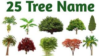 25 Types of Plants and Trees name in English |  Plants and Trees Vocabulary | Trees and Plants