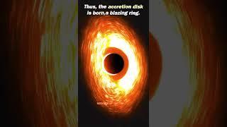 Birth of Black Hole’s Accretion Disk