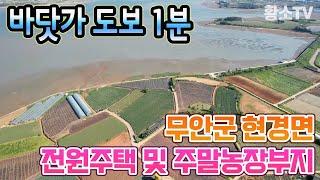 [전남토지매매] #1637 무안군 현경면 바닷가 도보 1분 전원주택 및 주말농장 부지