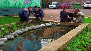 Stopping Flooding With Sustainable Gardens | Bang Goes The Theory | Earth Science