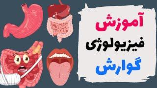 آموزش فیزیولوژی دستگاه گوارش | براساس رفرنس گایتون