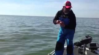 Lake St. Clair Fishing Tip with Jon Bondy - Downsizing