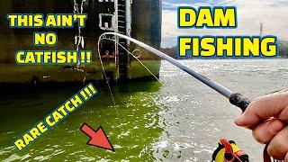 SURPRISE CATCH fishing at THE DAM on the TENNESSEE RIVER !!